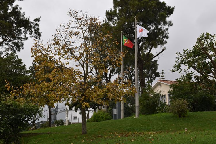 Sessão Comemorativa do 41.º Aniversário do ISCE Foto 16