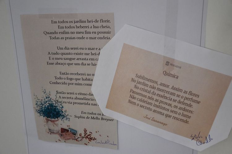 ISCE encerra Semana da Poesia e da Felicidade com forte participação da comunidade académica — foto 12